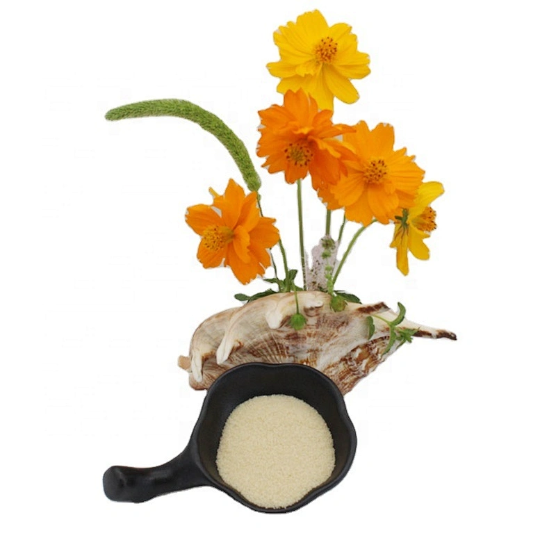 supplier gelatin food grade ingredients halal beef gelatin manufacturers wholesale gelatin 180bloom powder