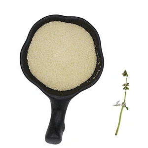 supplier gelatin food grade ingredients halal beef gelatin manufacturers wholesale gelatin 180bloom powder